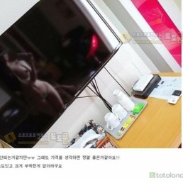 먹튀검증 토토군 포토 모텔 후기 레전드