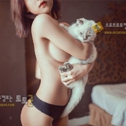 먹튀검증 토토군 포토 부러운 고양이